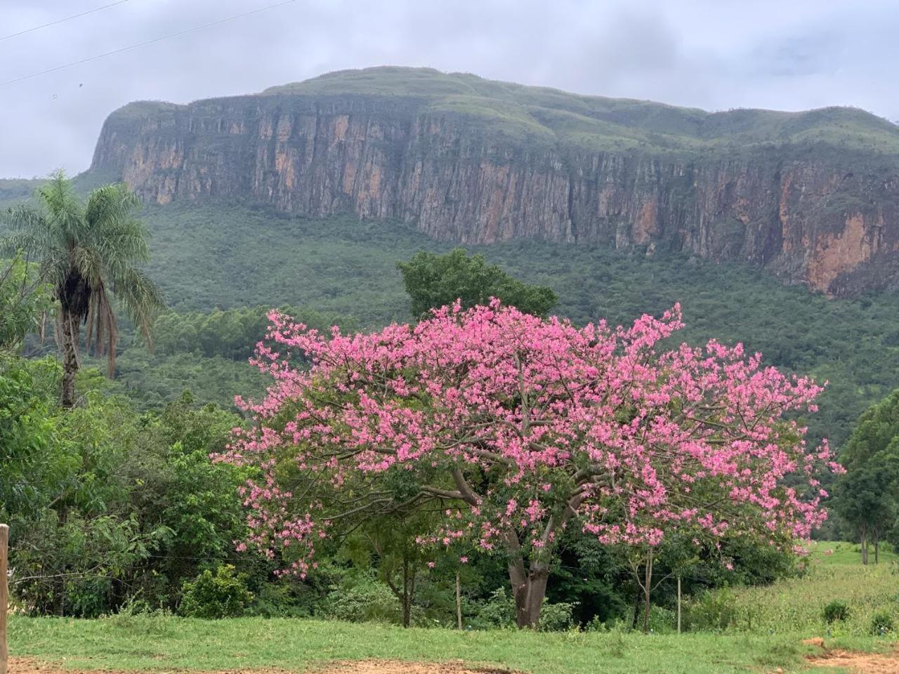 Chale Vale Das Cachoeiras Villa Capitólio Eksteriør billede